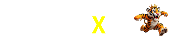11X
